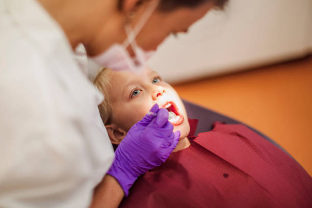 Best Emergency Dental Services for Seniors in Mount Carroll, IL